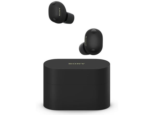 SONY ソニー WF-1000XM6 ワイヤレスイヤホン